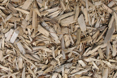 biomass boilers Poltimore